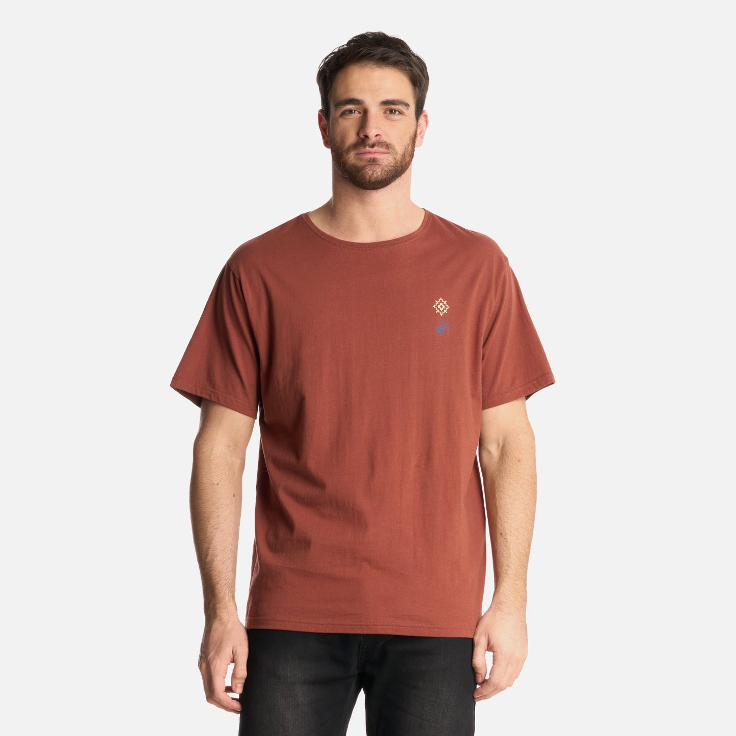 Polera Hombre Araucaria Milenaria Café Haka Honu