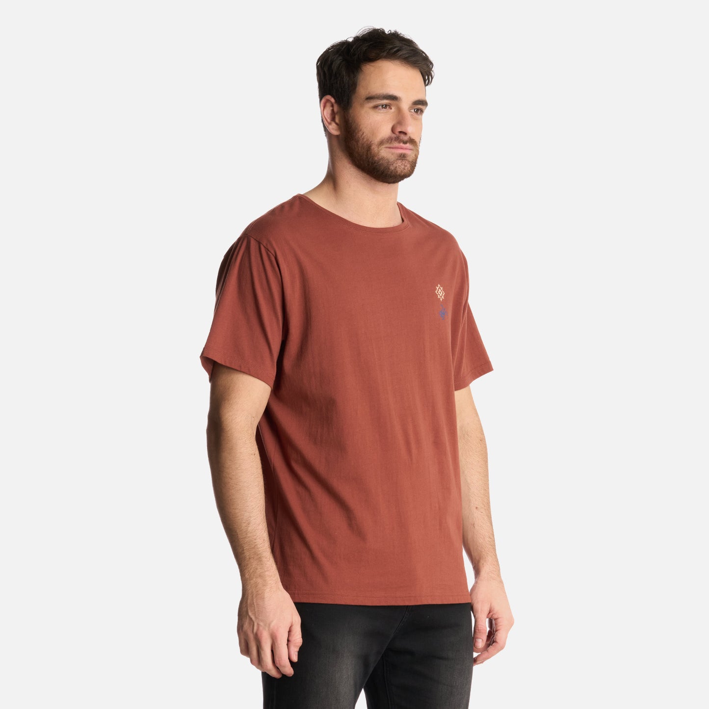 Polera Hombre Araucaria Milenaria Café Haka Honu